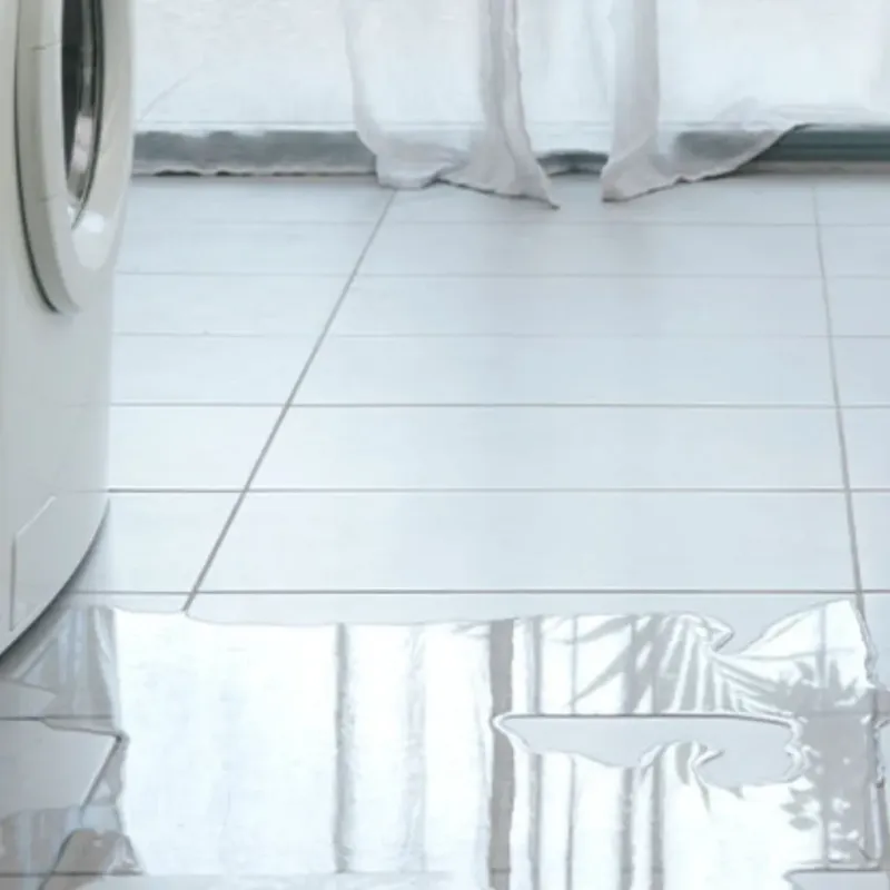 Appliance Leak Cleanup in Byrdstown, TN