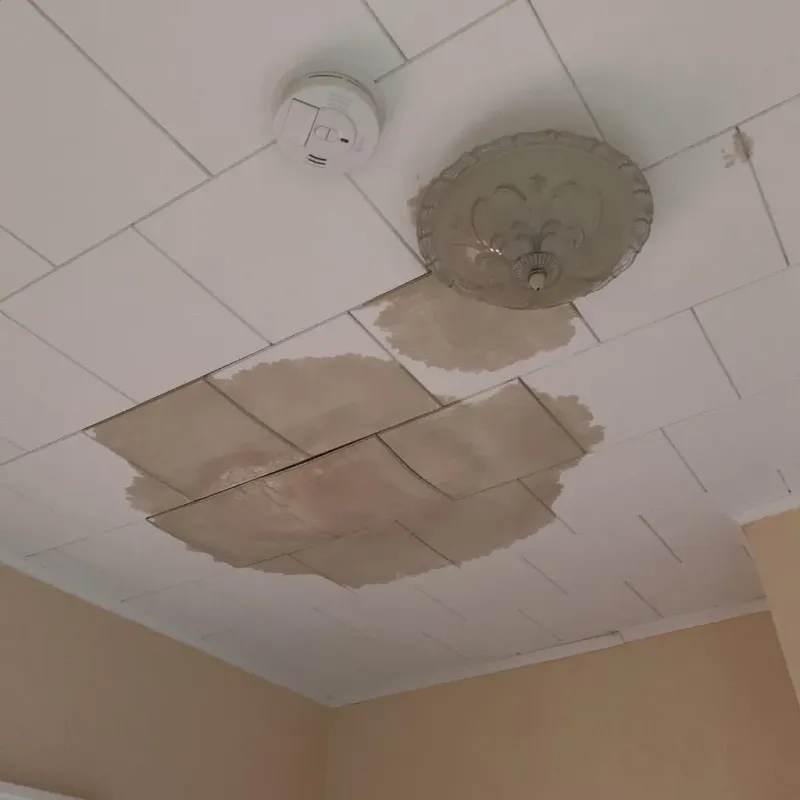 Ceiling Water Damage Repair in Byrdstown, TN