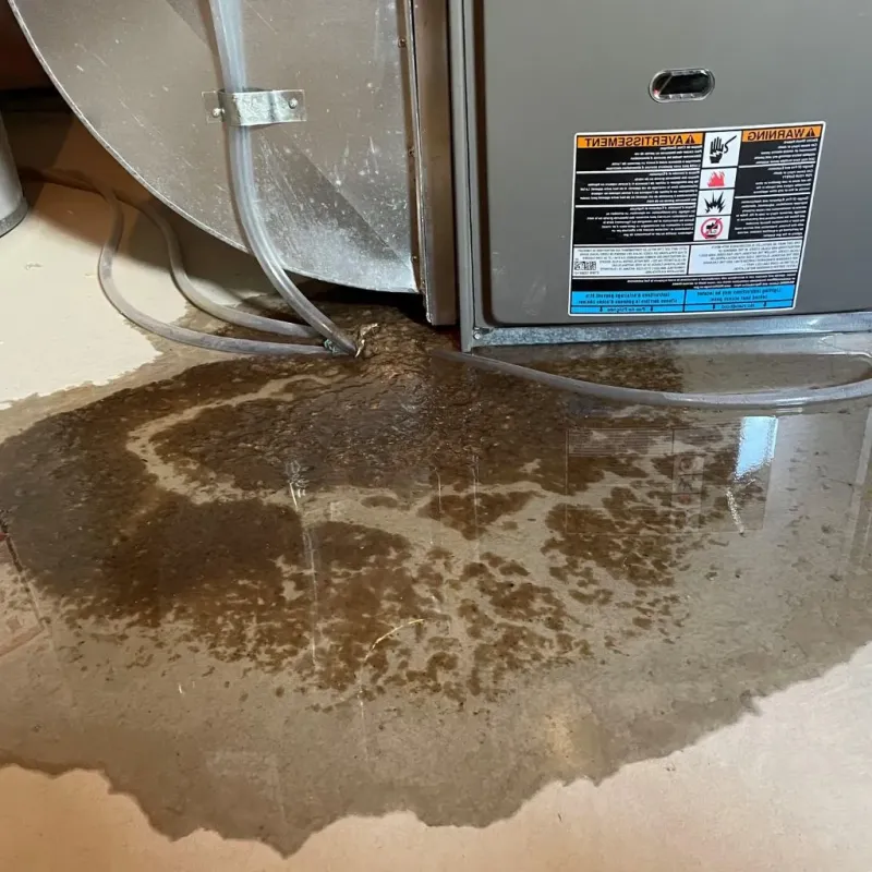 Pipe Burst and Leak Restoration in Byrdstown, TN