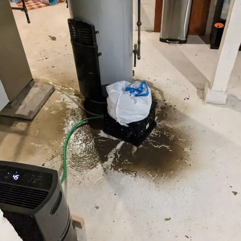 Sewage Backup Cleanup Service in Byrdstown, TN